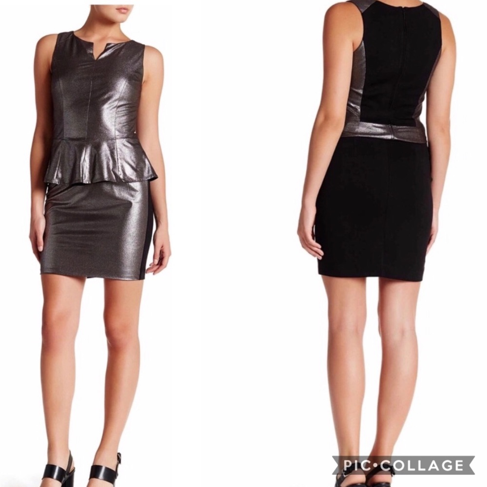 NWT Tart Irrigon Metallic Skirt
